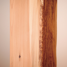 大黒柱の杉はめずらしい表情のものを