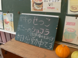 P1060768